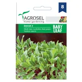 Seminte Sfecla rosie Detroit 2 Agrosel, 5 g