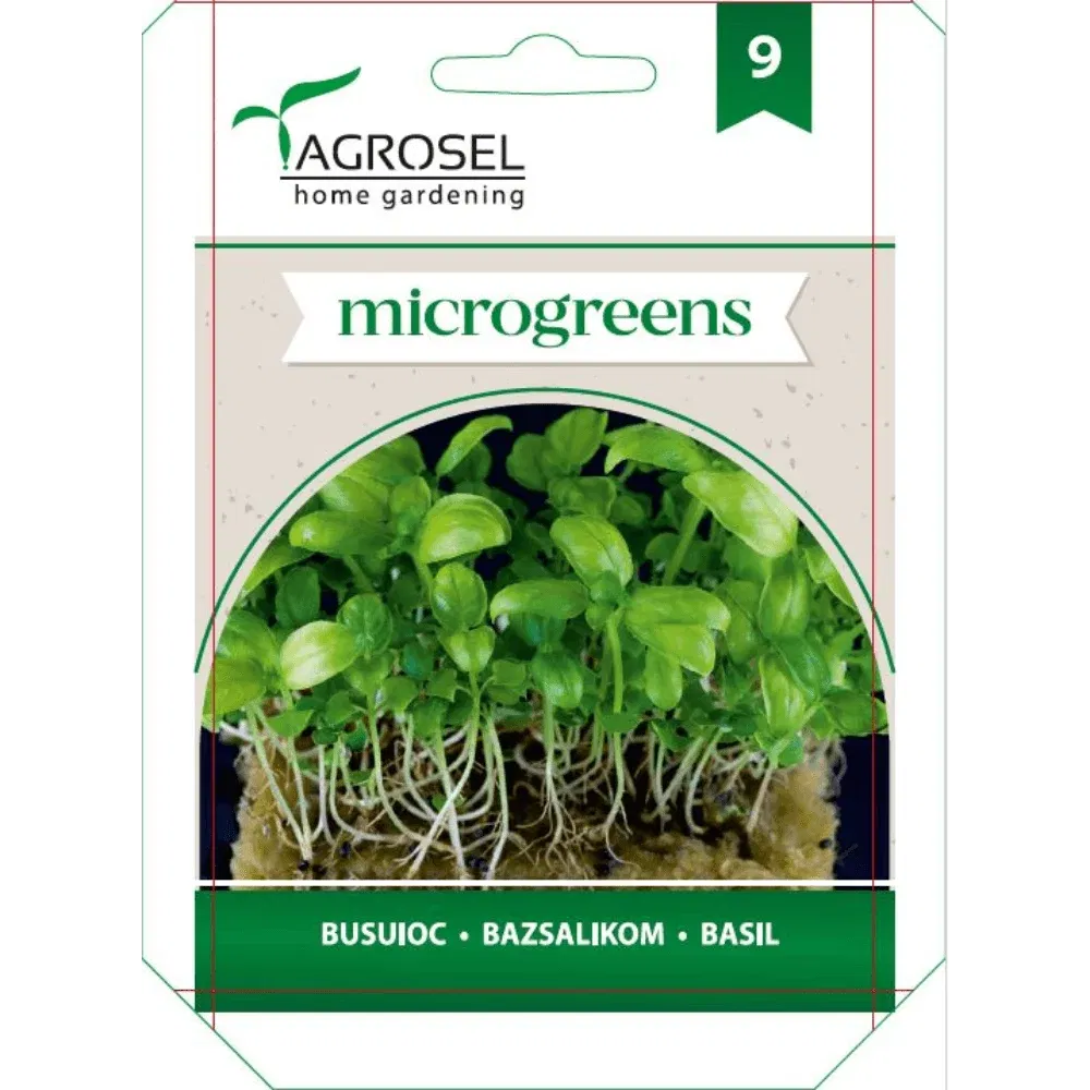 Seminte busuioc microgreens Agrosel, 4 g