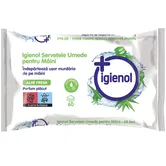 Servetele antibacteriene pentru maini Igienol, aloe, 60 buc