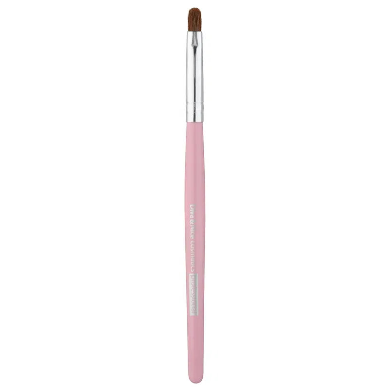 Diva & Nice Cosmetics Accessories Brush pensula pentru buze MAX 491/5 1 buc