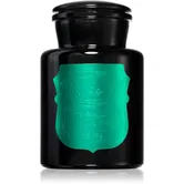 Paddywax Apothecary Noir Tabac & Pine lumânare parfumată 226 g