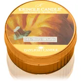 Kringle Candle Sugar Pumpkins lumânare 42 g